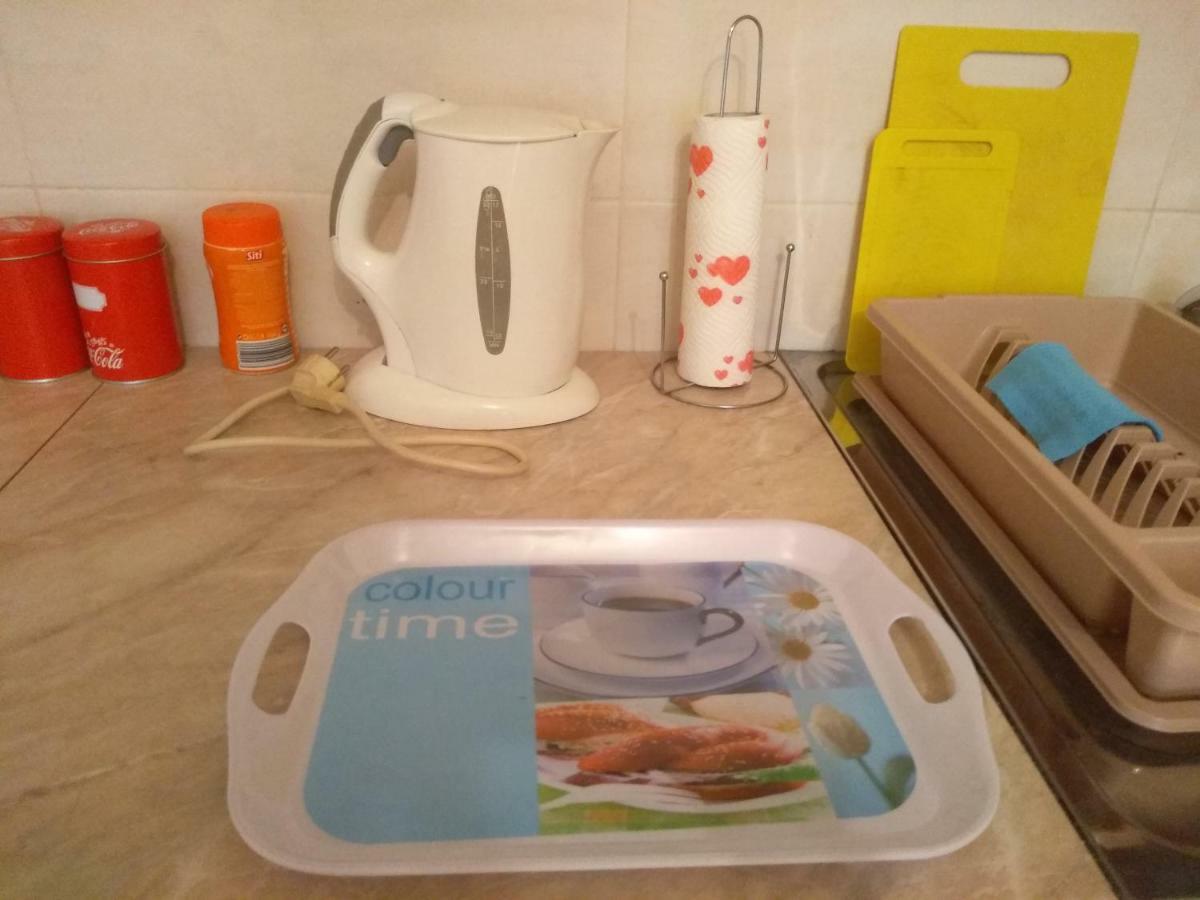 Apartman Marina Sa Garazom Novi Sad Eksteriør billede